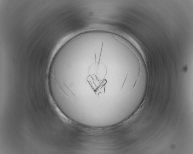 X0000116811485201001291551