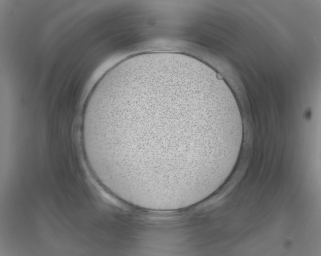 X0000116811486201001291551