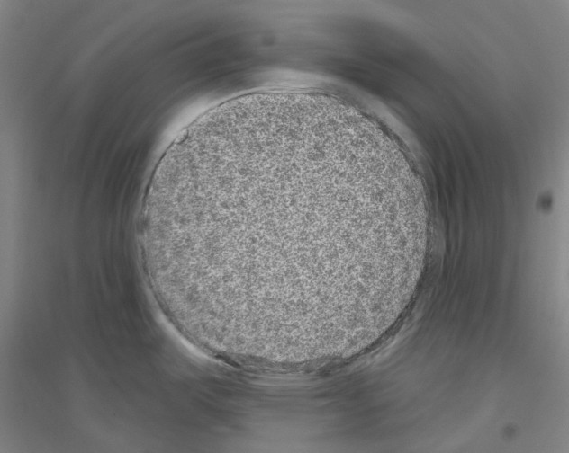 X0000116811487201001291551