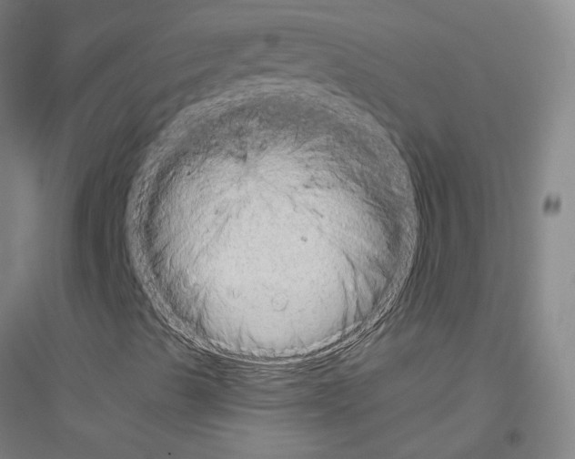 X0000116811489201001291550