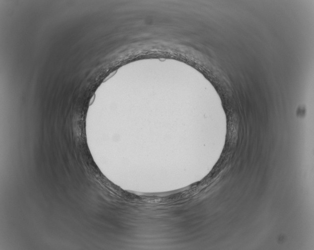 X0000116811490201001291550
