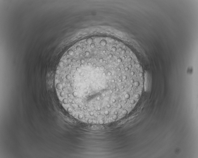 X0000116811491201001291550