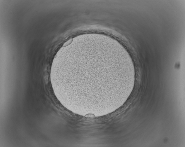 X0000116811493201001291550