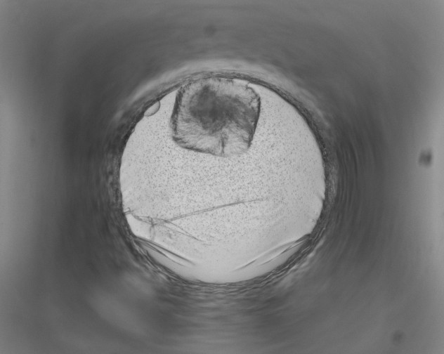 X0000116811494201001291550