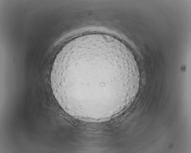 X0000116811495201001291550