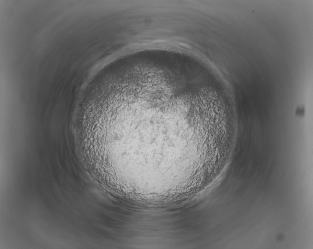 X0000116811497201001291550