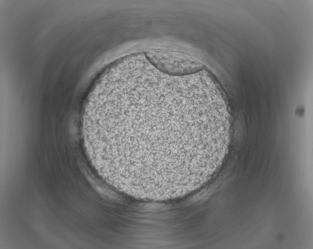 X0000116811499201001291550