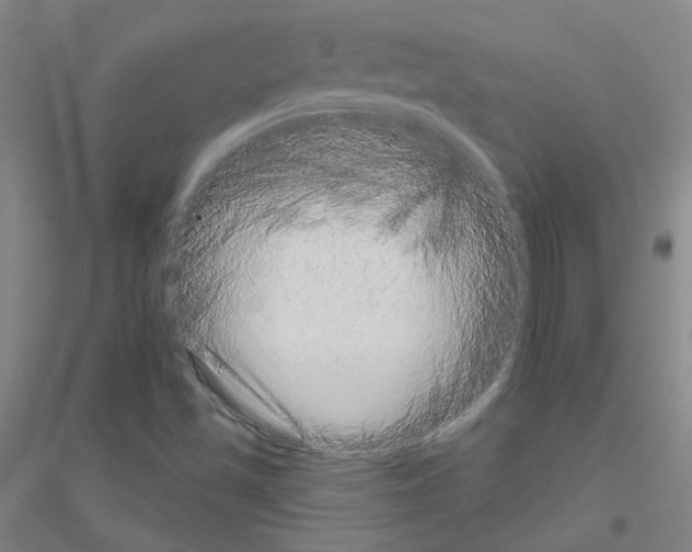 X0000116811501201001291550