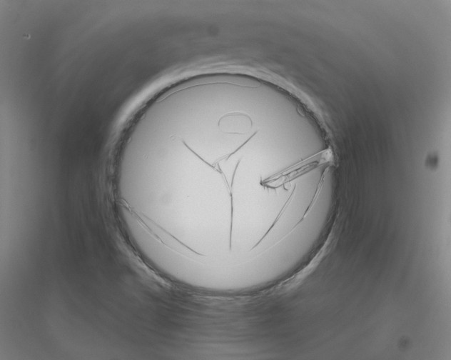 X0000116811502201001291550