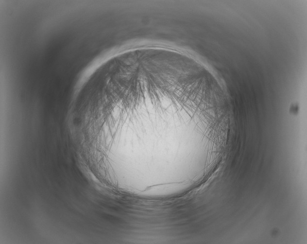 X0000116811503201001291550