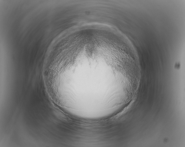 X0000116811505201001291550