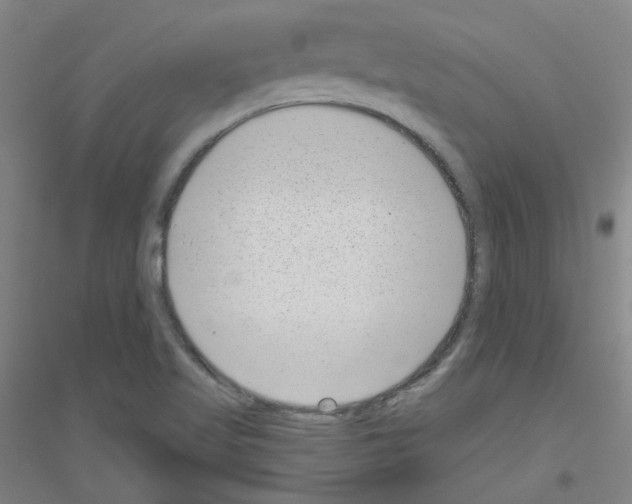 X0000116811509201001291550