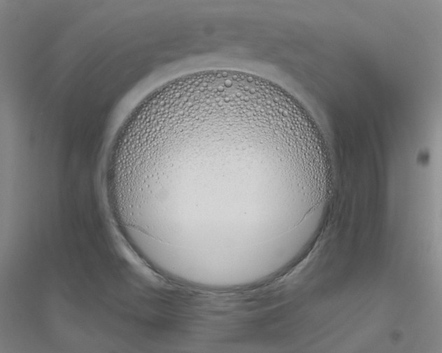 X0000116811511201001291550