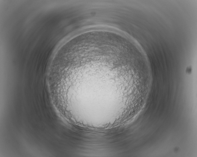X0000116811513201001291550