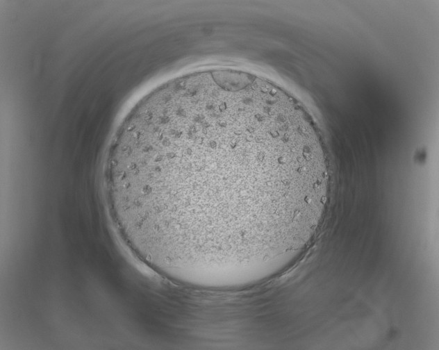 X0000116811519201001291550