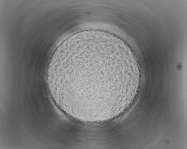 X0000116811521201001291550