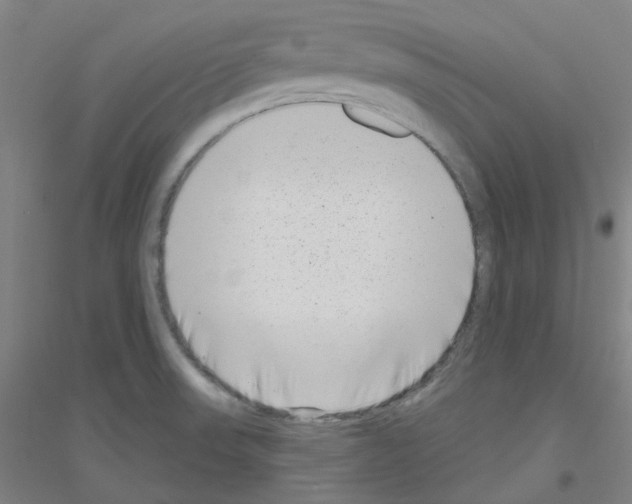 X0000116811523201001291550