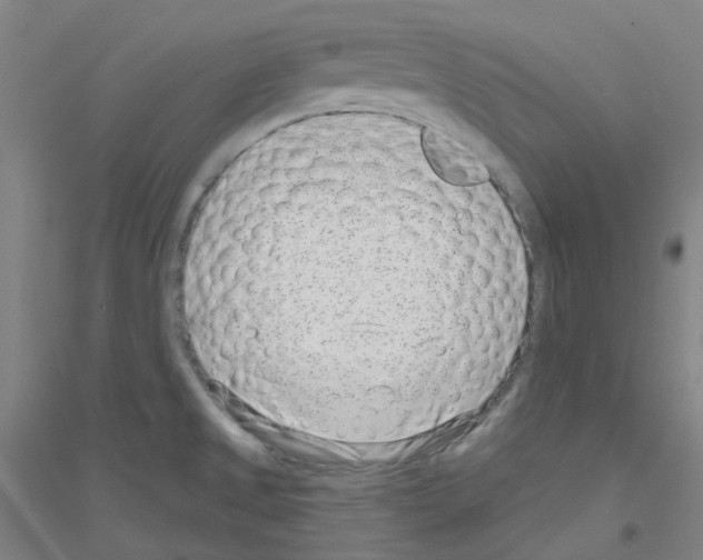X0000116811525201001291550