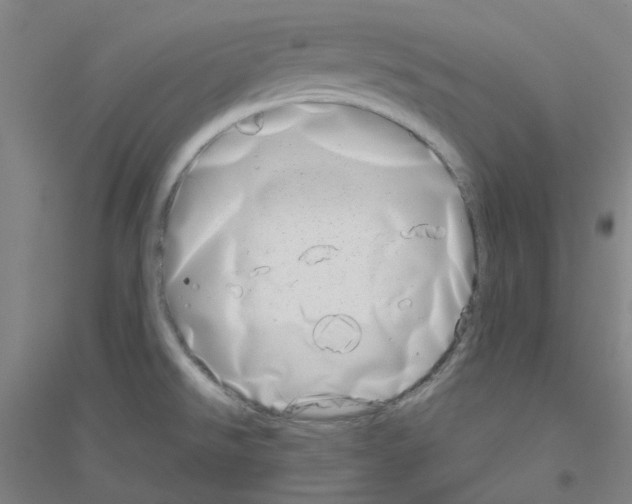 X0000116811526201001291550