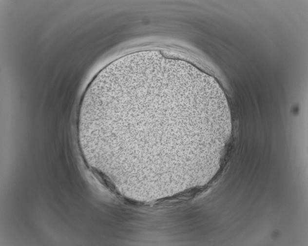 X0000116811530201001291551