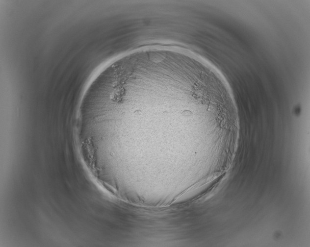 X0000116811533201001291551