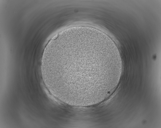 X0000116811534201001291551