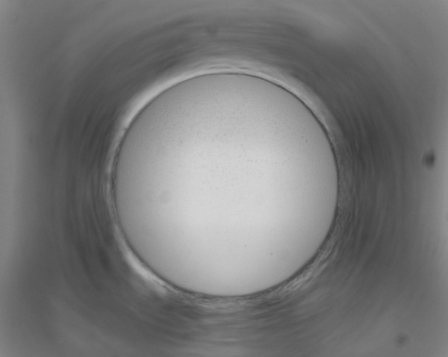 X0000116811535201001291551