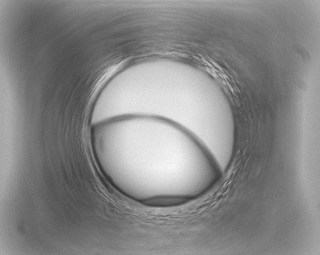 X0000116820003200912181124
