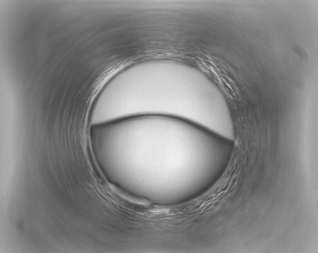 X0000116820052200912181123
