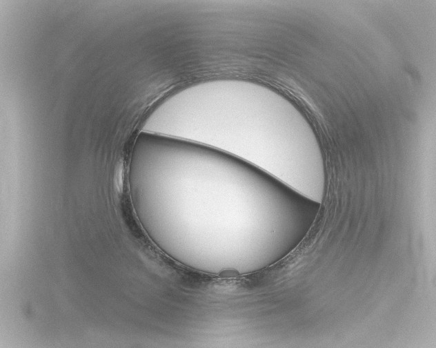 X0000116820076200912181123