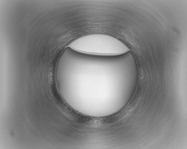 X0000116820080200912181123