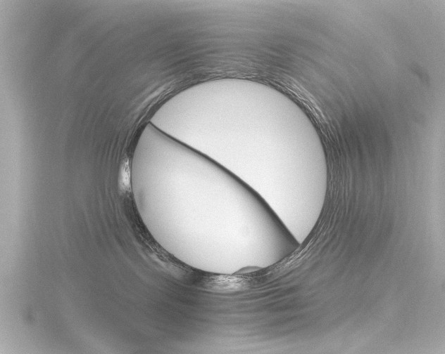 X0000116820095200912181124