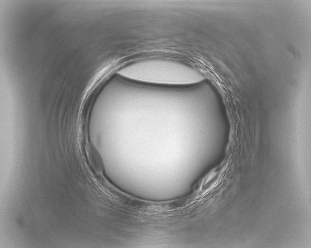 X0000116820101200912181123