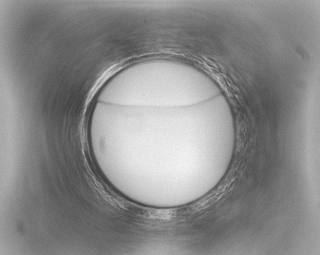 X0000116820102200912181123