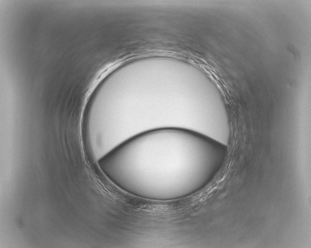 X0000116820104200912181123