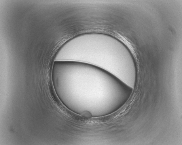 X0000116820105200912181123