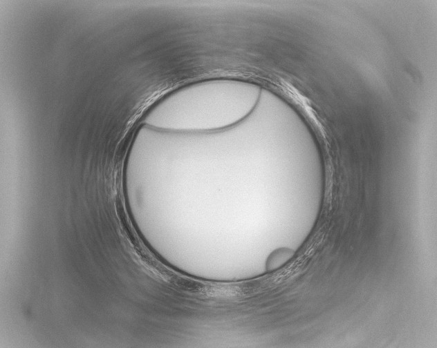 X0000116820106200912181123