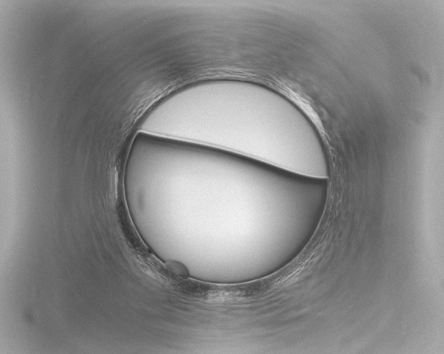 X0000116820109200912181123