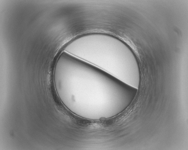 X0000116820111200912181123