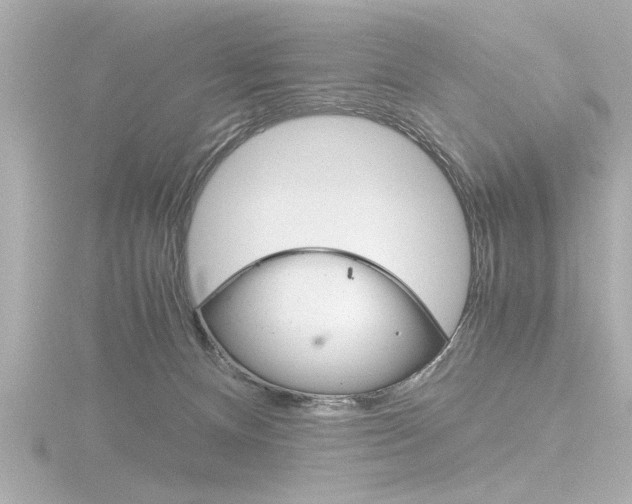 X0000116820128200912181122