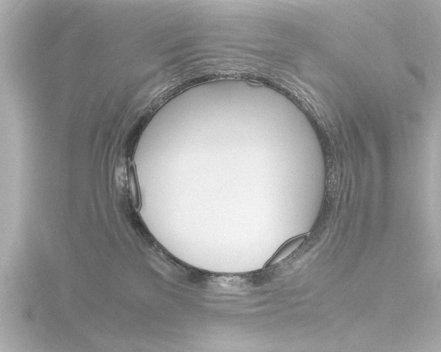 X0000116820137200912181122
