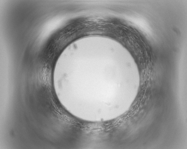 X0000116820146200912181121