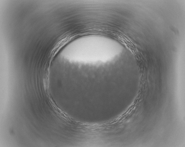 X0000116820194200912181121