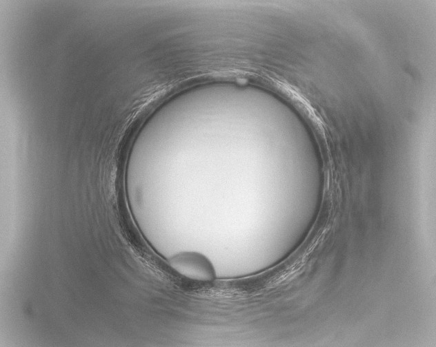 X0000116820201200912181121