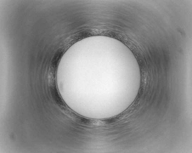 X0000116820226200912181121