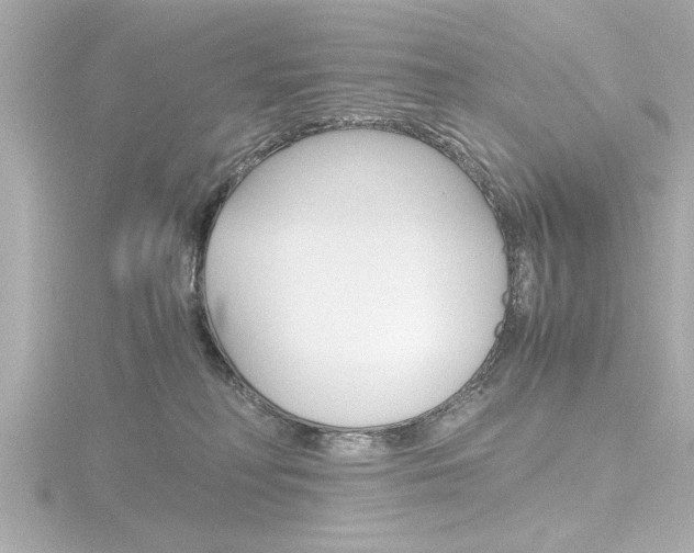 X0000116820230200912181121