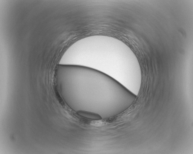 X0000116820231200912181121