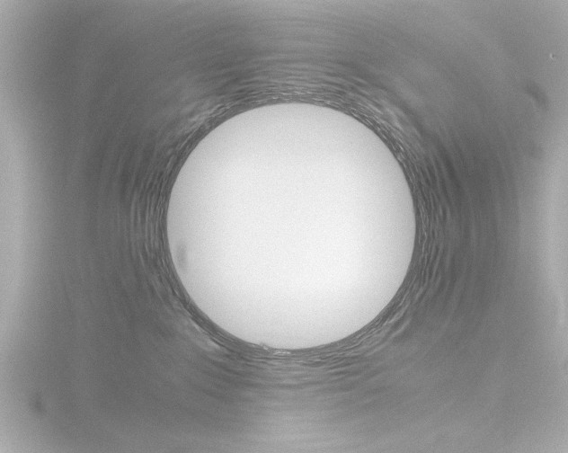 X0000116820235200912181121