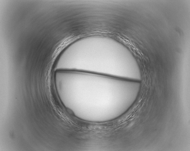 X0000116820242200912181120