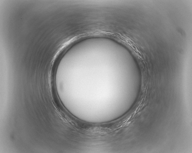 X0000116820244200912181120